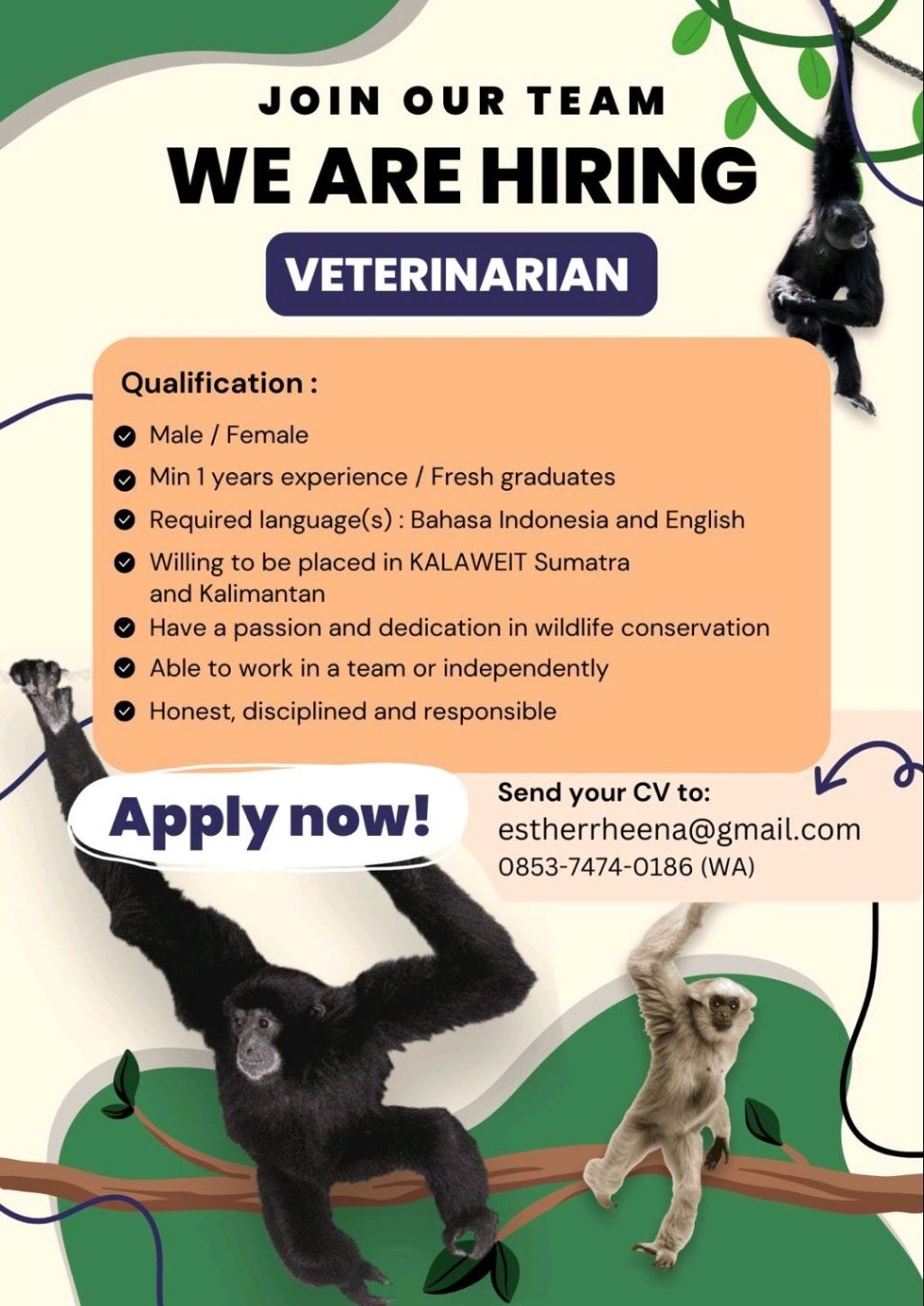 Lowongan kerja: Yayasan Kalaweit&nbsp;Indonesia