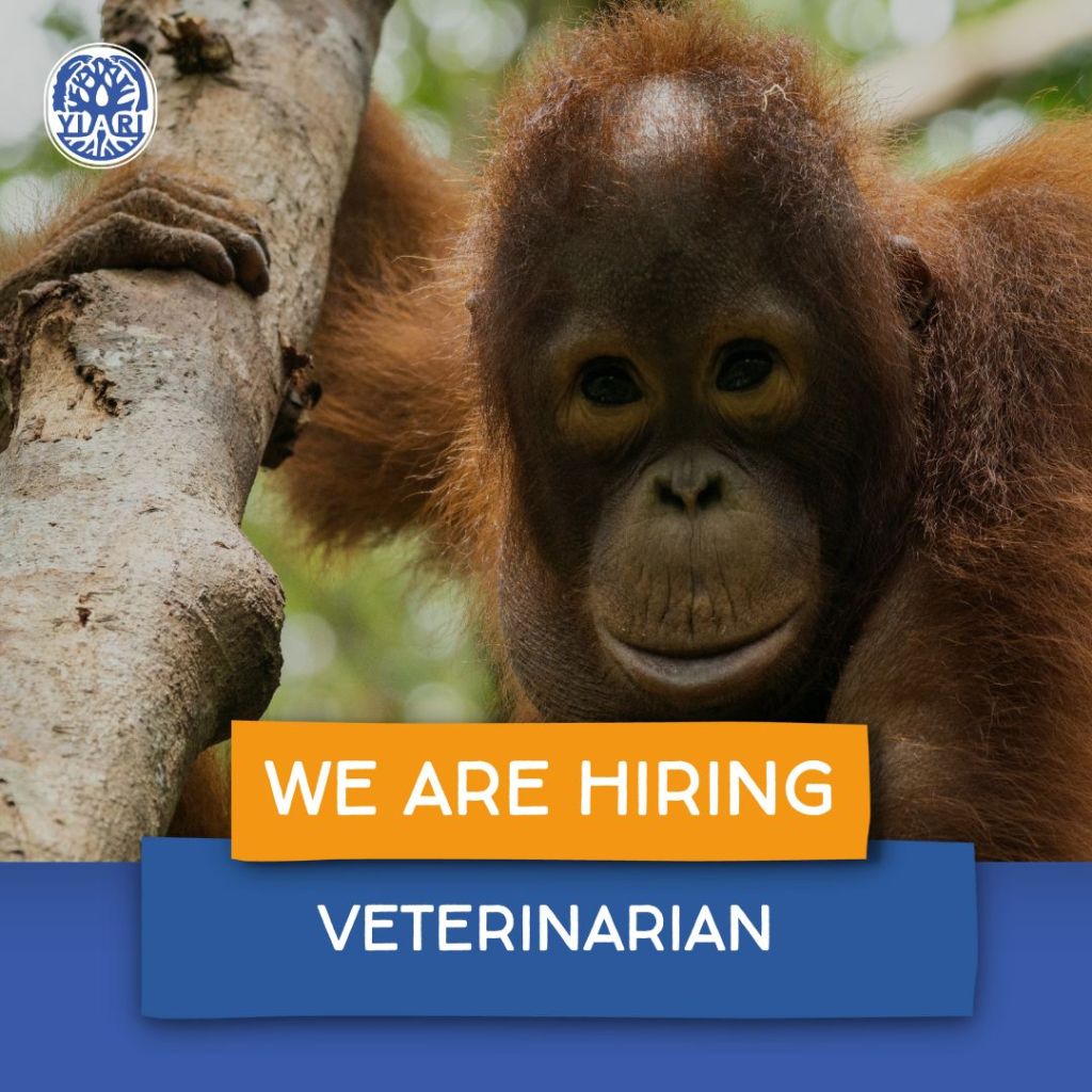 Lowongan Kerja: Yayasan IAR Indonesia