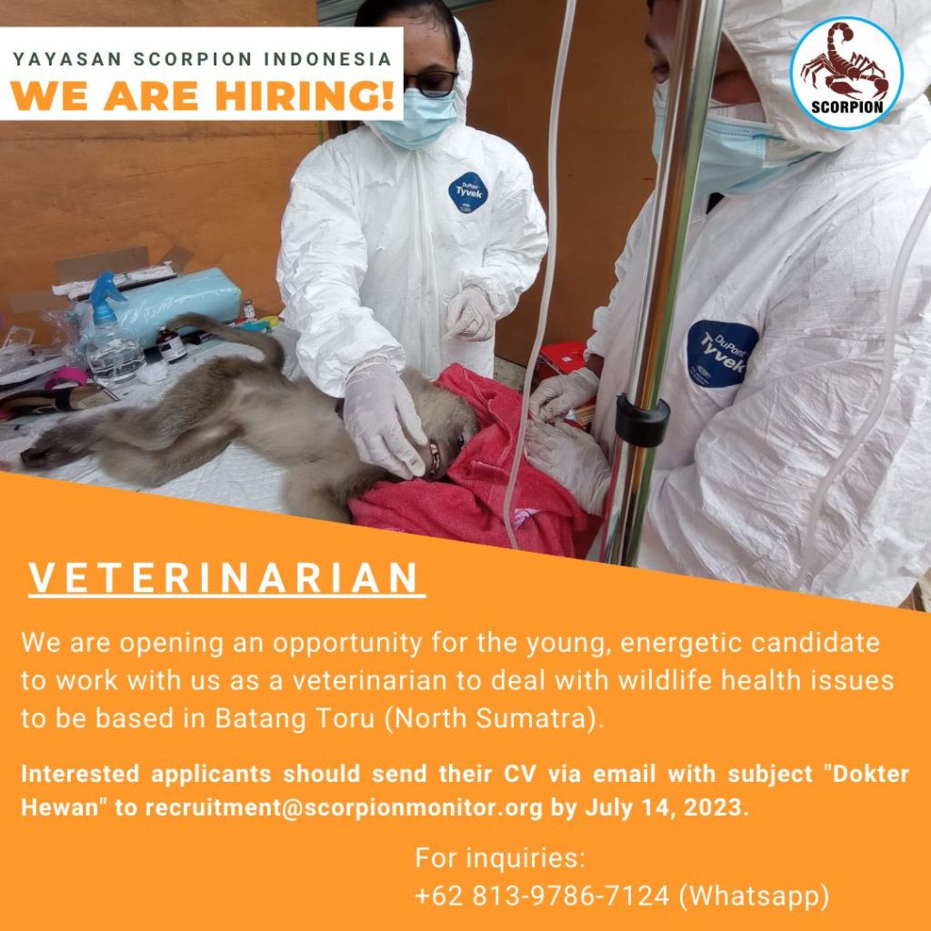 Lowongan Kerja: Yayasan Scorpion Indonesia