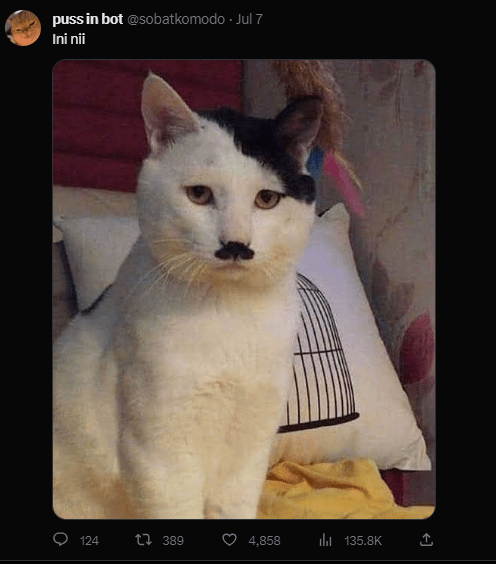 Motif Kucing Hitam Putih yang Kian Meresahkan