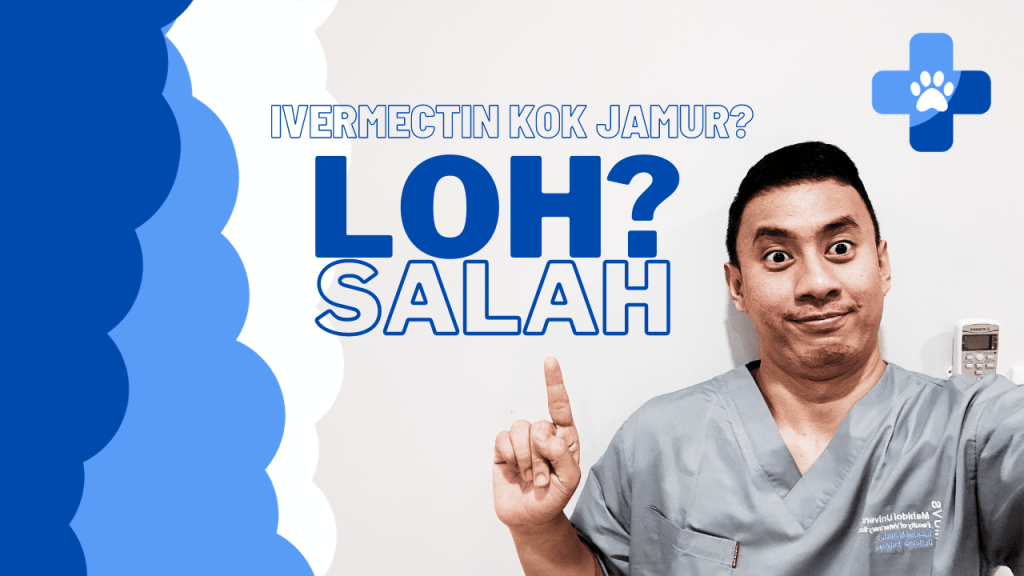 Suntik Anti Jamur pada Hewan: Mitos atau Fakta?