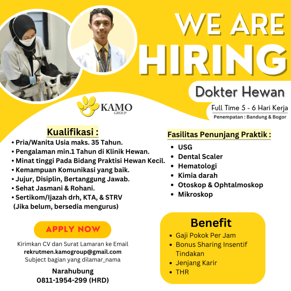 Lowongan Kerja: KAMO Group