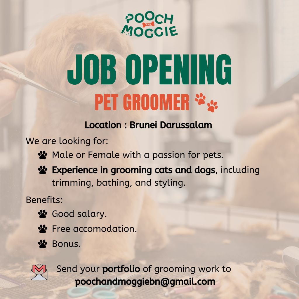 Lowongan Kerja: Pooch and Moggie