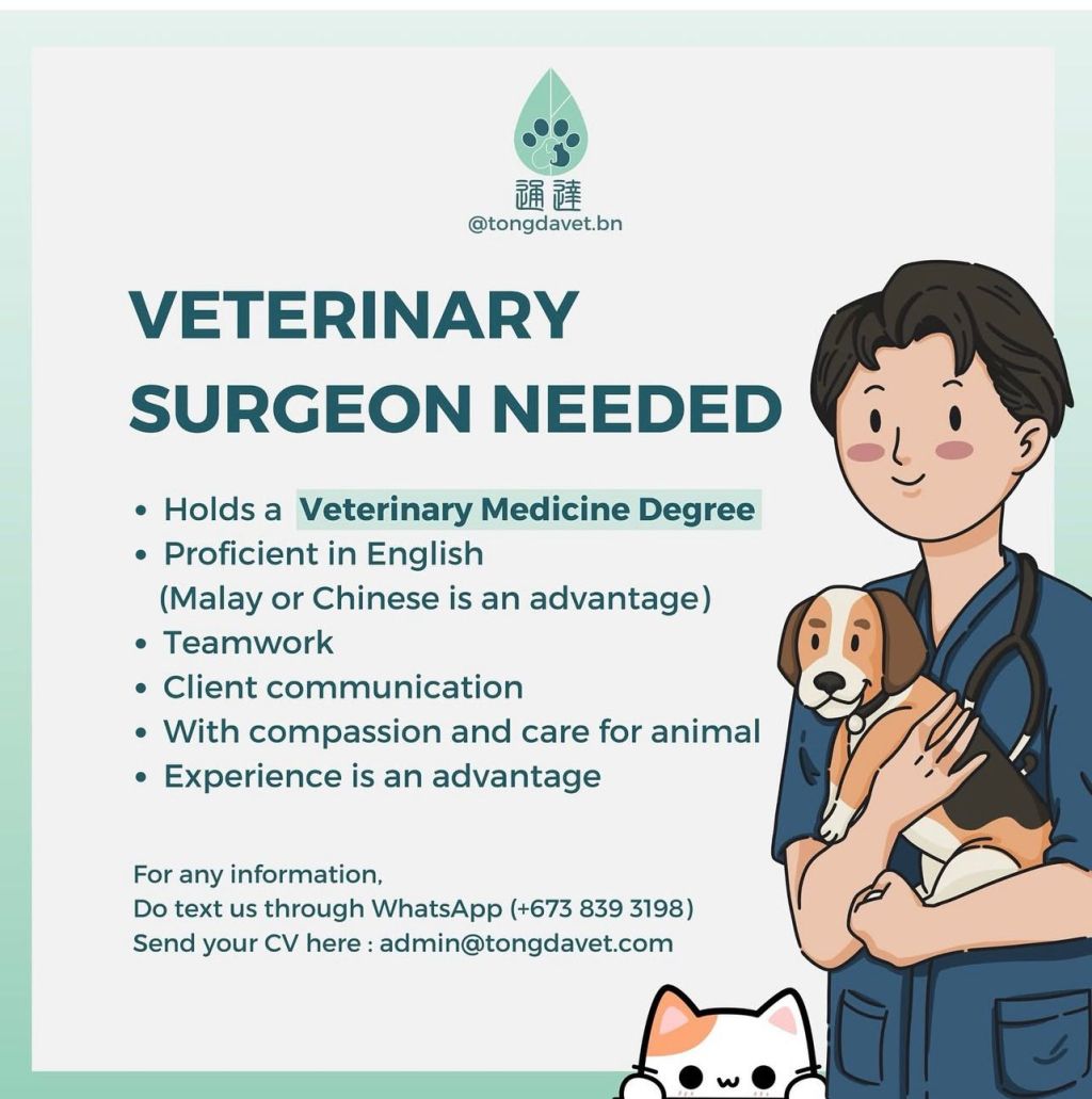 Lowongan Kerja: Tongda Veterinary Service Brunei Darussalam